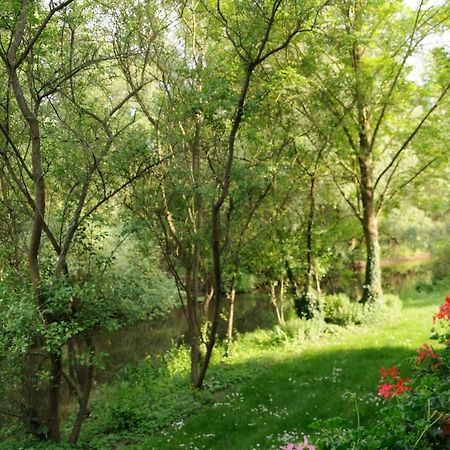 Fewo Lueneburger Heide - Aurelia Lägenhet Bad Bevensen Exteriör bild