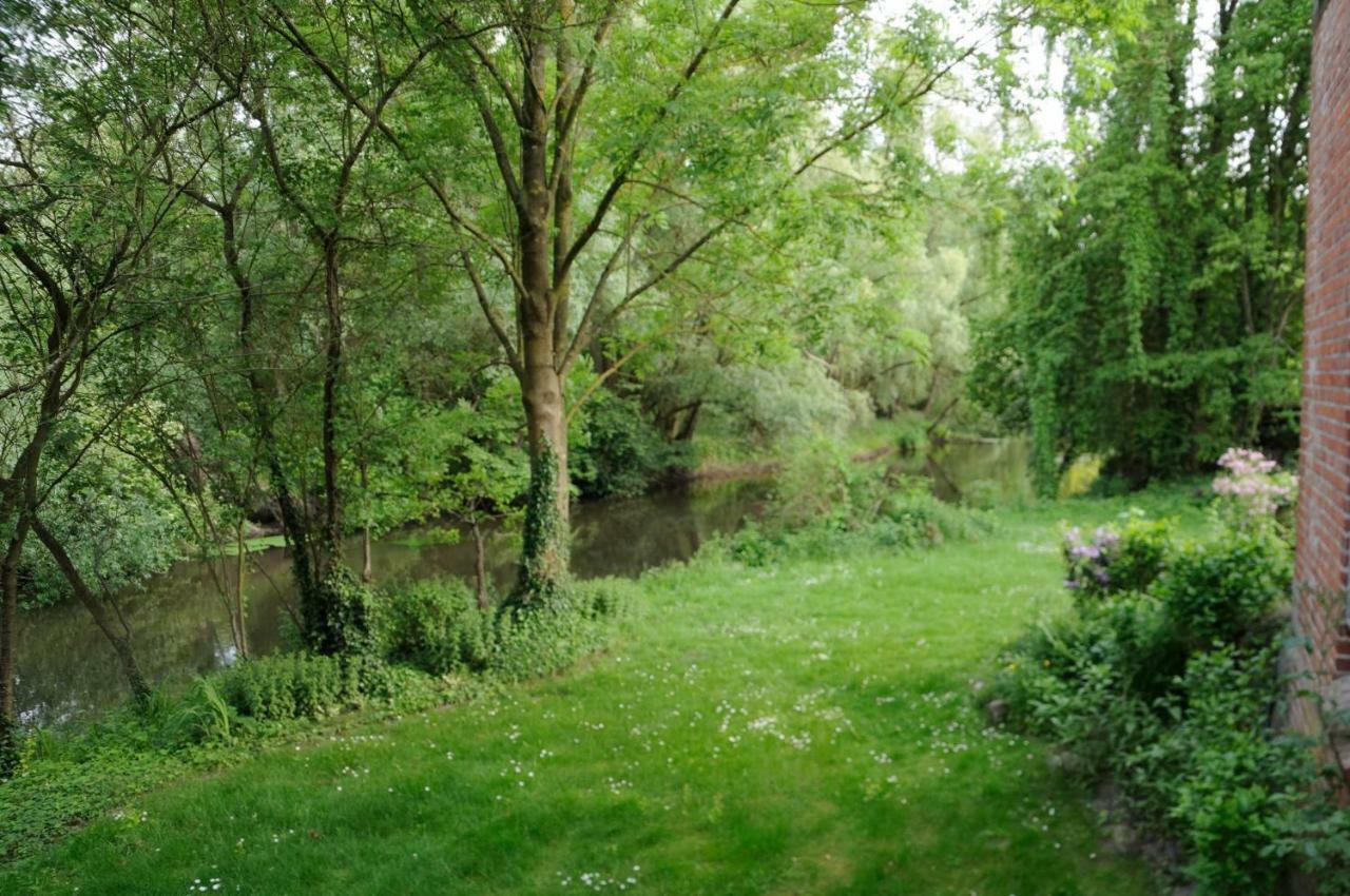 Fewo Lueneburger Heide - Aurelia Lägenhet Bad Bevensen Exteriör bild