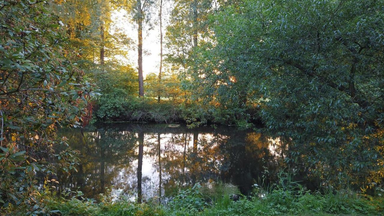 Fewo Lueneburger Heide - Aurelia Lägenhet Bad Bevensen Exteriör bild